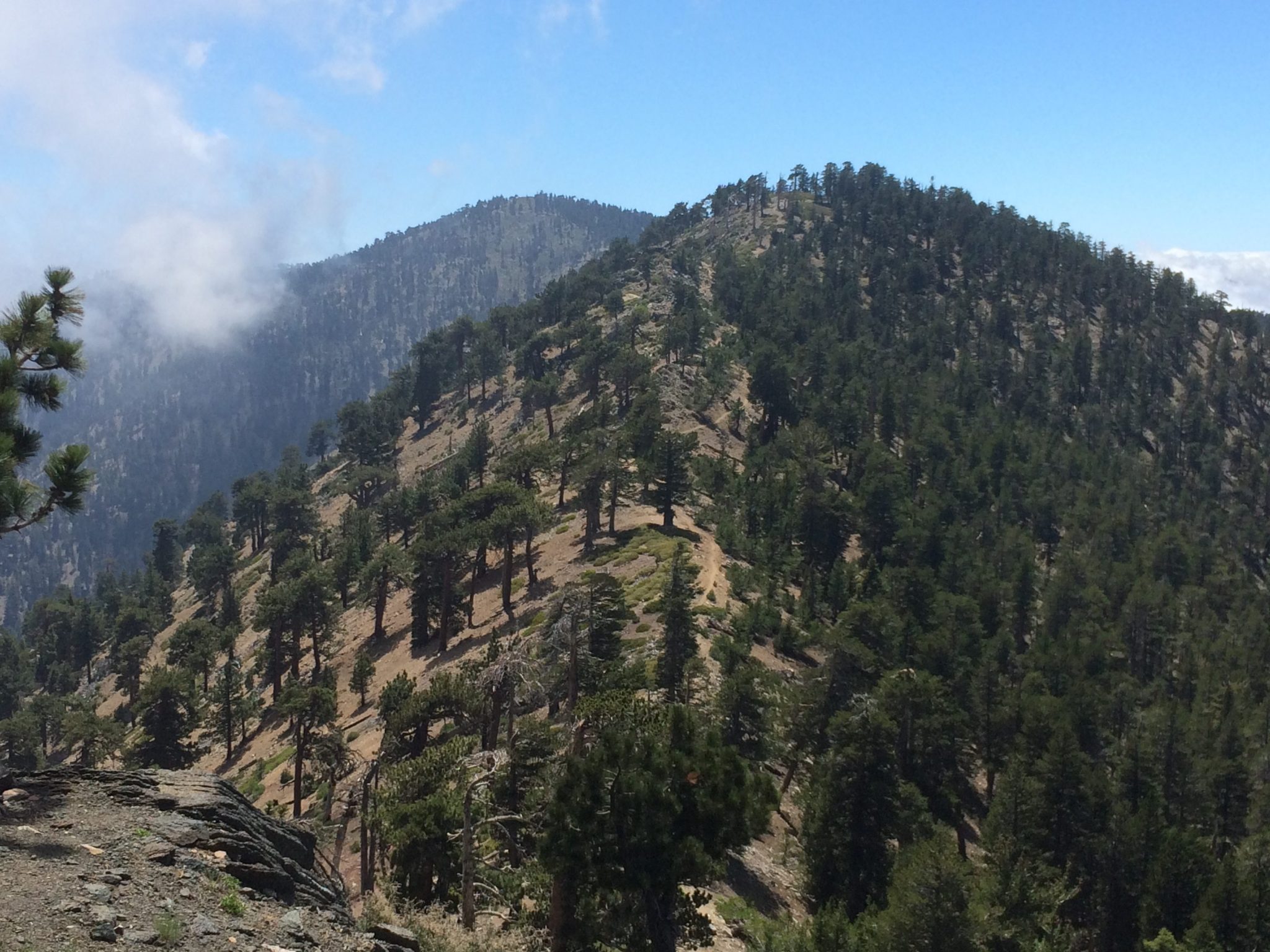 Mt. Baden-Powell Thru-Hike - Type One Outdoors